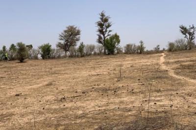 Terrain de 1,72 hectare vers Notto Diobass