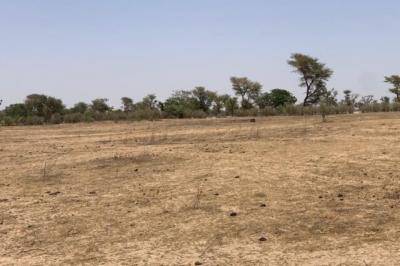 Terrain de 1,72 hectare vers Notto Diobass