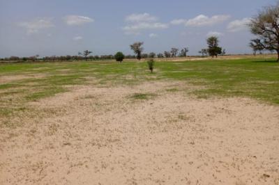 Terrain de 1,69 hectare vers Tassette