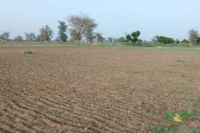 Terrain de 1,68 hectare vers Sandiara