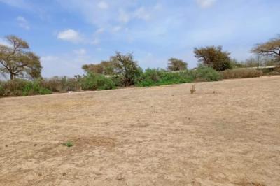 Terrain de 1,67 hectare vers Notto Diobass
