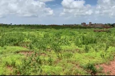 Terrain de 1,63 hectare vers Diass