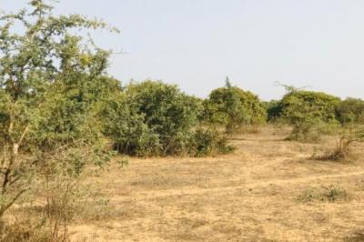 Terrain de 1,6 hectare vers Diender