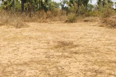 Terrain de 1,62 hectare vers Tassette