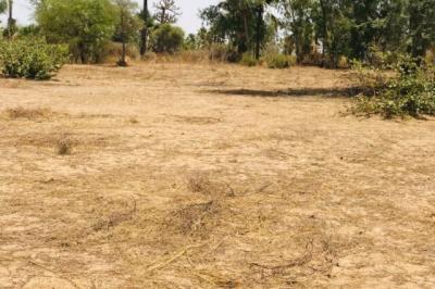 Terrain de 1,62 hectare vers Tassette