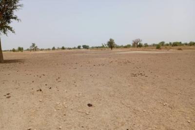 Terrain de 1,83 hectare vers Tassette