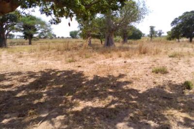 Terrain de 1,85 hectare vers Tassette