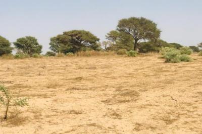 Terrain de 1,90 hectare vers Cherif Lô