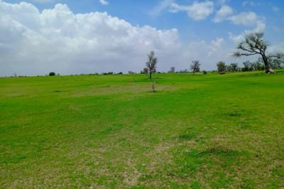 Terrain de 1,97 hectare vers Diourbel
