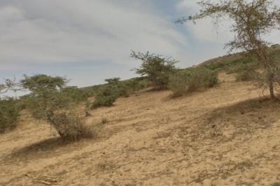 Terrain de 10 hectares vers Darou Khoudoss