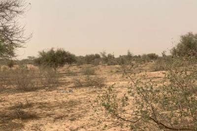 Terrain de 10,18 hectares vers Kébémer