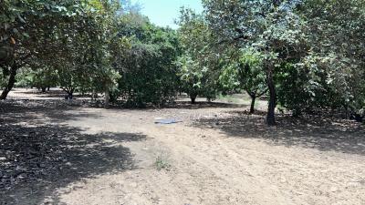 Terrains 300 mètres carrés à vendre à Saly Sé