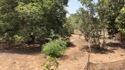 Terrains 300 mètres carrés à vendre à Saly Sé