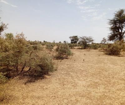 Terrain de 100 hectares vers Koul