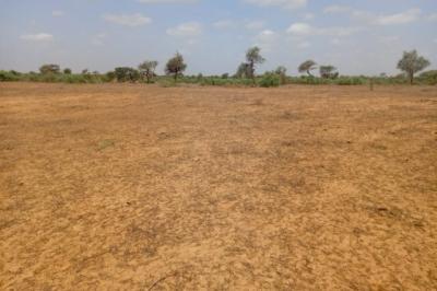 Terrain de 12,08 hectares vers Touba Toul