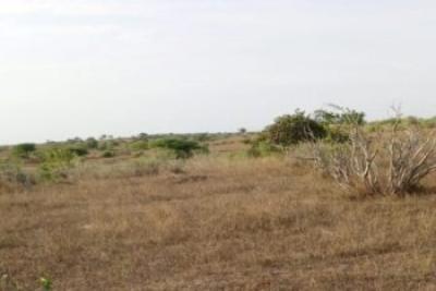 Terrain de 2 hectares vers Darou Khoudoss