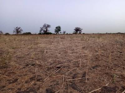 Terrain de 2 hectares vers Nguéniène