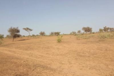 Terrain de 2 hectares vers Thiénaba