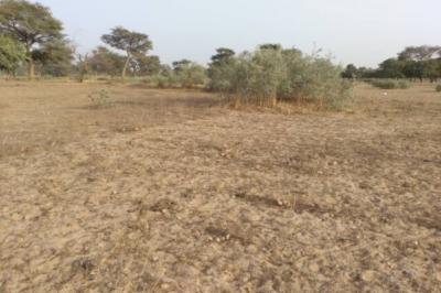 Terrain de 2 hectares vers Thiénaba
