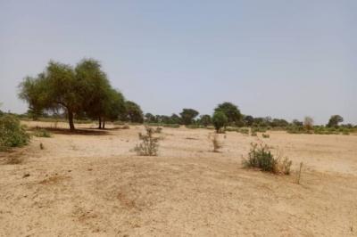Terrain de 2,04 hectares vers Tassette