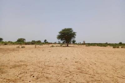 Terrain de 2,04 hectares vers Tassette