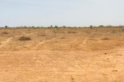 Terrain de 2,06 hectares vers Notto Diobass