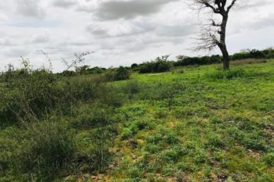Terrain de 2,06 hectares vers Notto Gouye Diama