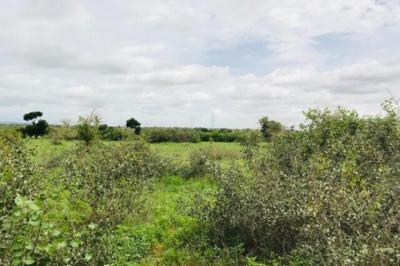 Terrain de 2,06 hectares vers Notto Gouye Diama