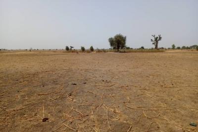 Terrain de 2,06 hectares vers Tassette