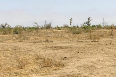 Terrain de 2,08 hectares vers Mont Rolland