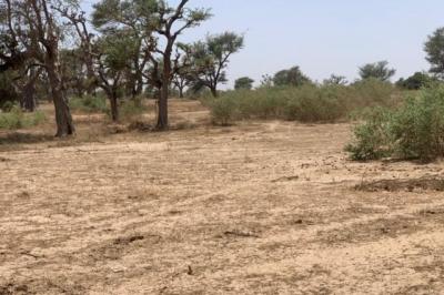 Terrain de 2,09 hectares vers Notto Diobass