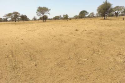 Terrain de 2,11 hectares vers Saghata
