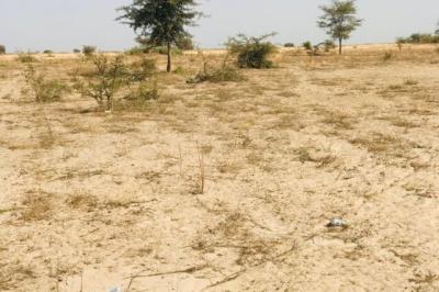 Terrain de 2,28 hectares vers Cherif Lô