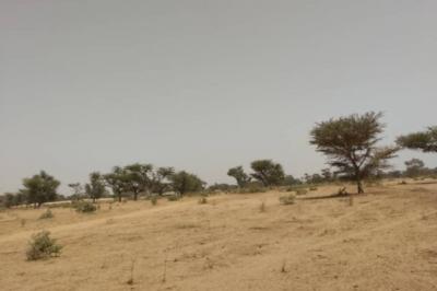 Terrain de 2,30 hectares vers Sindia