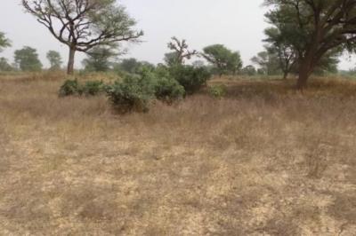 Terrain de 2,33 hectares vers Notto Diobass