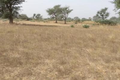 Terrain de 2,33 hectares vers Notto Diobass