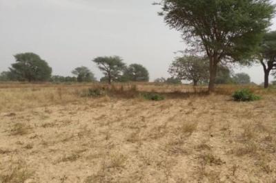 Terrain de 2,33 hectares vers Notto Diobass