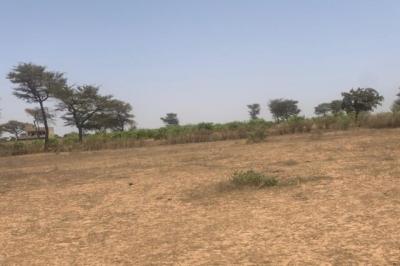 Terrain de 2,4 hectares vers Notto Diobass