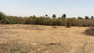 Terrain 1200 mètres carrés à vendre à Saly Sé