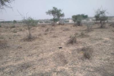 Terrain de 9,22 hectares vers Thieppe