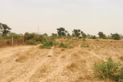 Terrain de 8771 m² vers Malicounda