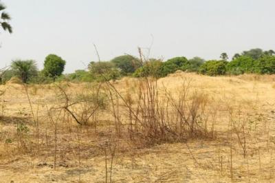 Terrain de 8997 m² vers Fimela