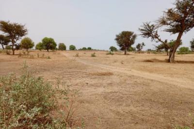 Terrain de 7067 m² vers Tassette