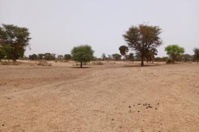 Terrain de 7067 m² vers Tassette