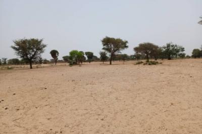 Terrain de 7067 m² vers Tassette