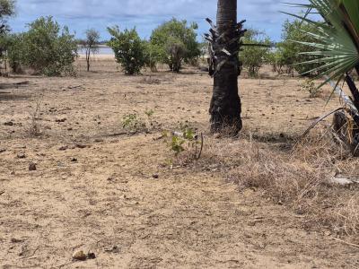 Terrain 600 mètres carrés à vendre à Ndayane S