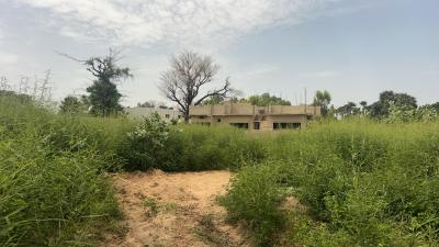 Terrains 300 mètres carrés à vendre à Saly Sé
