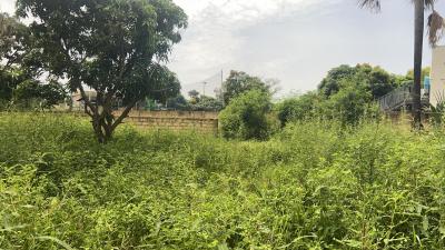 Terrains 300 mètres carrés à vendre à Saly Sé