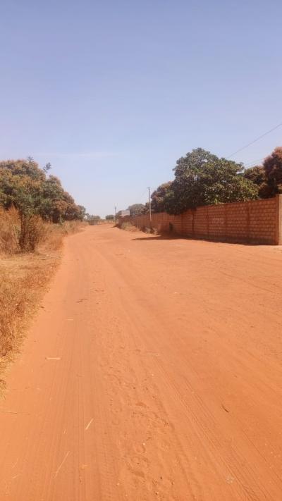Terrains 300 mètres carrés à vendre à warang S