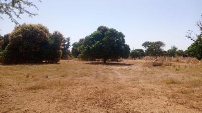 Terrain 8000 mètres carrés à vendre à warang S